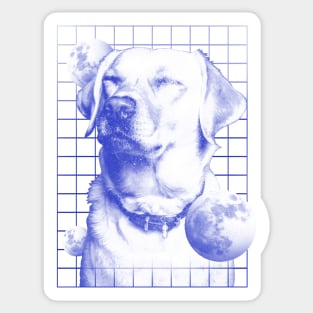 Dog Universe Sticker